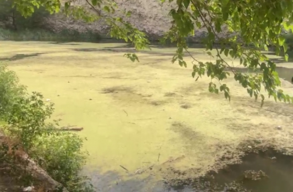 Հրազդան գետը ճահճացման վտանգի տակ է (տեսանյութ)